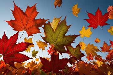 Fototapeta premium Vibrant Leaves in Dynamic Motion Against a Crisp Background