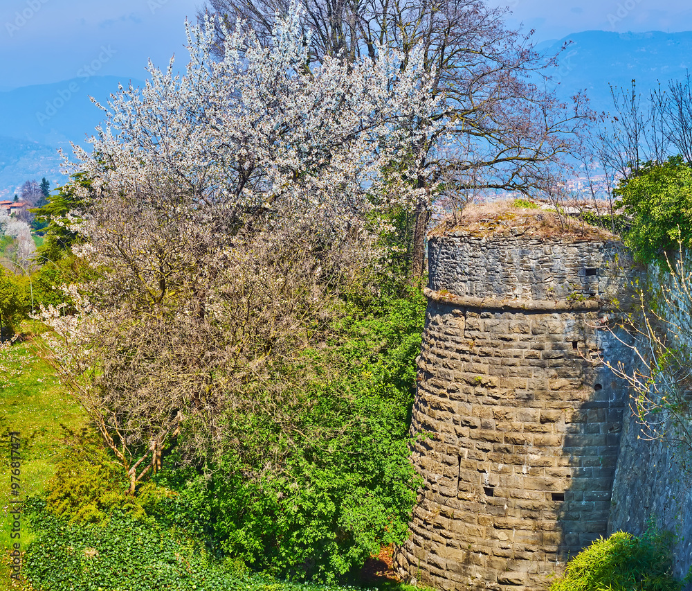 Sticker The ruins of Castello di San Vigilio and flowering park, Bergamo, Italy