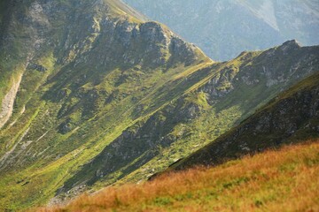 Skały i trawy © jholy