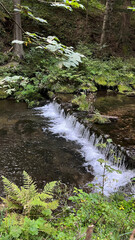 A small mountain river with a flow of water in the Polish mountains. Eastern Sudetes