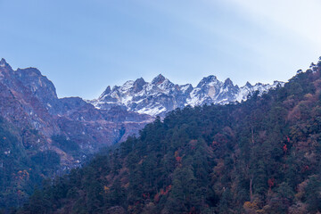 A stunning view of snow-capped Himalayan peaks from Sikkim, India, with forested slopes in the foreground and a clear blue sky. Perfect for nature, travel, and scenic landscape themes.