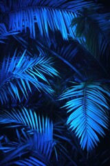 Close-up of palm fronds