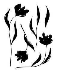 Set of hand drawn flowers silhouette