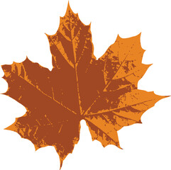 Autumn maple leaves clipart
