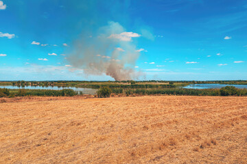 Aerial shot of wildfire in countryside landscape, drone pov