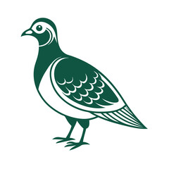 dove with leaves