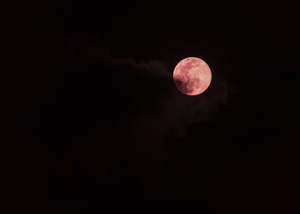 A image of a blood moon rising. The moon, a vibrant crimson hue, is partially obscured by clouds, creating a dramatic and mystical scene. Perfect for projects related to astronomy, or the supernatural