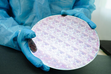 Silicon wafer for manufacturing semiconductor of integrated circuit.