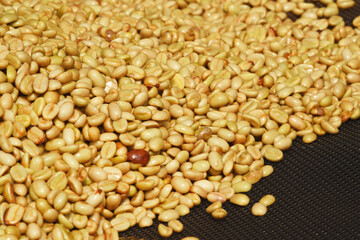Close up of coffee beans for background          