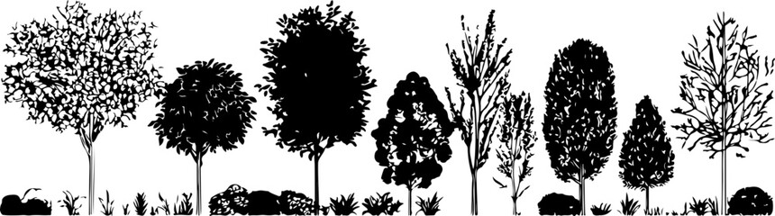 Silhouette of Various Trees in a Row