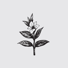 tree with leaves flower