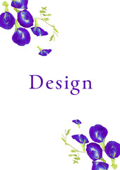 バタフライピー　チョウマメ　forest_heart　蝶豆　青紫色の花　藍胡蝶　お茶　美容