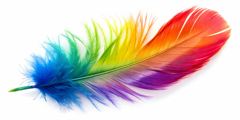 Obraz premium Vibrant and colorful feathers on a white background, feathers, colorful, vibrant, isolated, white background, beauty