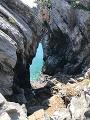 Fototapeta premium tree on the rocks