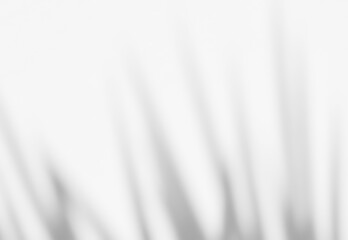 Shadow of leaves tree plant overlay on white wall. Sunlight effect shadow on the wall. Minimal blurred backdrop backgrounds. Summer tropical surface background.	