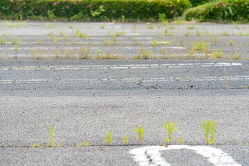  雑草が生えた駐車場
