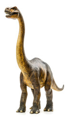 Brachiosaurus dinosaur isolated on white background