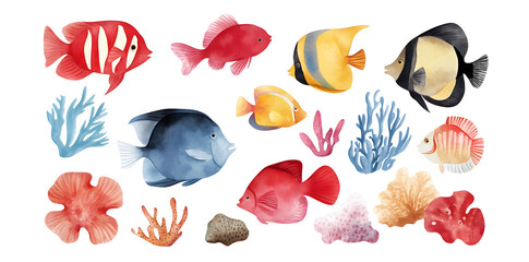 Group of coral reef fish, isolated on plain white