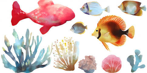 Fototapeta premium Group of coral reef fish, isolated on plain white
