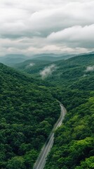 A winding asphalt road navigates through lush green mountains, enveloped in mist, revealing bamboo forests on both sides in a breathtaking landscape
