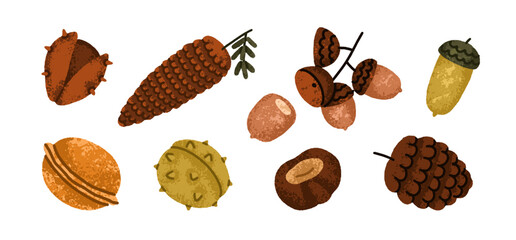 Cones, chestnut, nut, acorn set. Autumn botanical decorations collection. Pinecone, walnut, fruit, fall season decorative design elements. Flat vector illustration isolated on white background © Good Studio