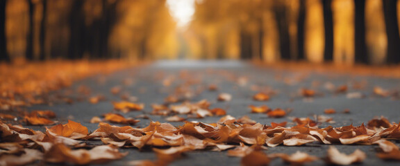 Fototapeta premium Empty road blank covered with fallen leaves in autumn