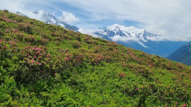 Picturesque view of the Mont Blanc mountain and glacier while hiking Tour du Mont Blanc. Popular tourist attraction. Alps, Chamonix-Mont-Blanc, France, Europe.