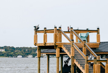 Wooden deck by a lake in Florida.