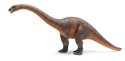 Fototapeta premium Brachiosaurus dinosaur isolated on white background