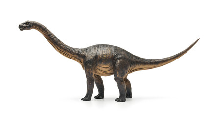 Fototapeta premium Brachiosaurus dinosaur isolated on white background