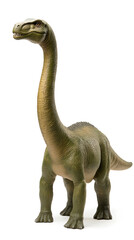 Obraz premium Brachiosaurus dinosaur isolated on white background