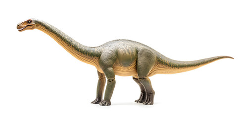Fototapeta premium Brachiosaurus dinosaur isolated on white background