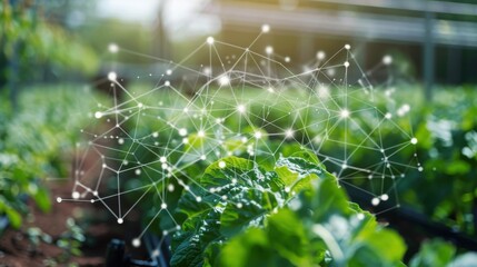 Advanced AI systems monitoring crop health and optimizing irrigation in a sustainable farm.