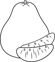 Pomelo fruit outline vector.