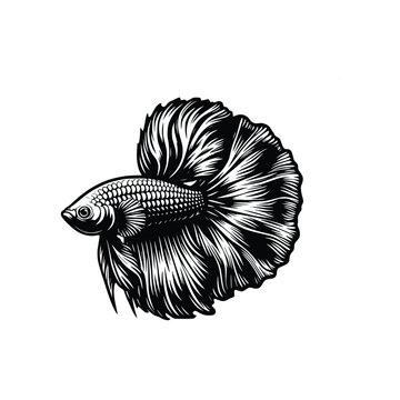 recommend clip art: hand drawn illustration of betta fish. black and white betta fish outline vector illustration, isolated background