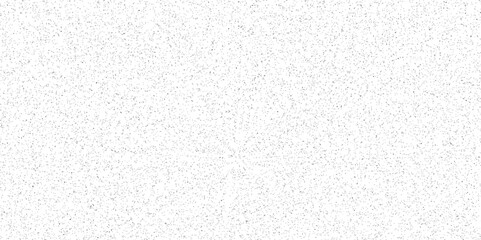 white and black particles dust noise paper texture background and terrazzo flooring texture polished stone pattern. Quartz surface white for bathroom or kitchen sandstone small have mixed sand tile.