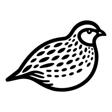 recommend clip art: quail