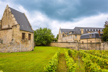 Jardin de l' Abbaye Saint-Jean-des-Vignes