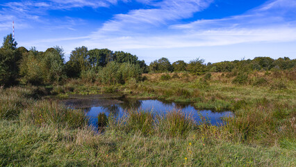 Small pond in the Höltigbaum nature reserve