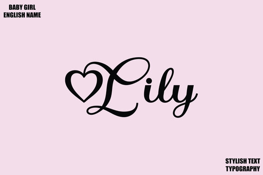 Lily Female Name - in Stylish Cursive Typography Text