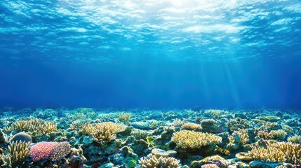 Fototapeta premium Underwater Coral Reef Scene With Sunbeams and Blue Water