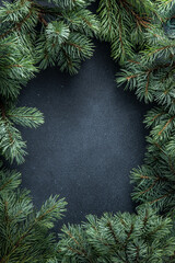 Green tree branches. Christmas natural background