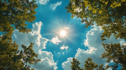 Looking up at the sky over the city park 
