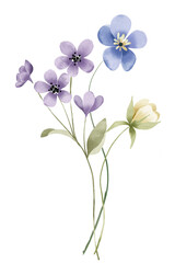 Flowers watercolor, floral clip art. Bouquet perfectly for printing design on invitations, cards, posters, wall art and other. Isolated on white background. Hand painting.