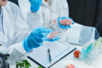 Fototapeta premium Two Asian women in a lab work on food research, using a microscope, petri dish, and test tubes filled with chemical solutions. They study vegetables, pork, and plants for GMO traits and nutrition.