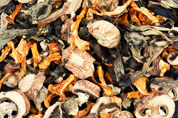 Wild dried mushrooms set, food background.