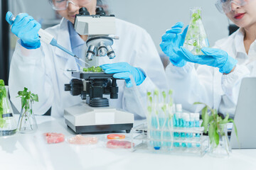 Two Asian women in a lab work on food research, using a microscope, petri dish, and test tubes...