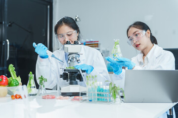 Two Asian women in a lab work on food research, using a microscope, petri dish, and test tubes...