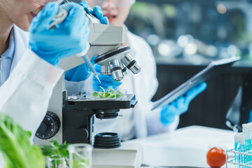 Two Asian women in a lab work on food research, using a microscope, petri dish, and test tubes...