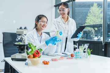Two Asian women in a lab work on food research, using a microscope, petri dish, and test tubes filled with chemical solutions. They study vegetables, pork, and plants for GMO traits and nutrition.